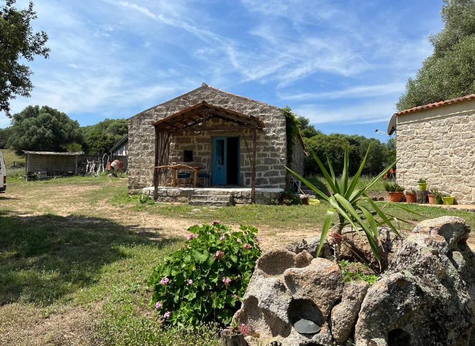 Sa Castangia Apartment | Casacci