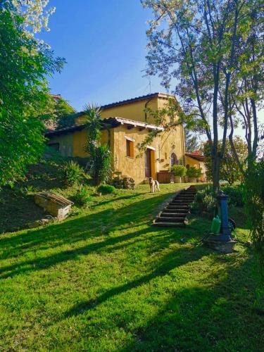 Poggio Mirteto Bed & Breakfast | Casale Druida