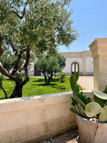 Fasano Bed & Breakfast | Casale Giuseppe