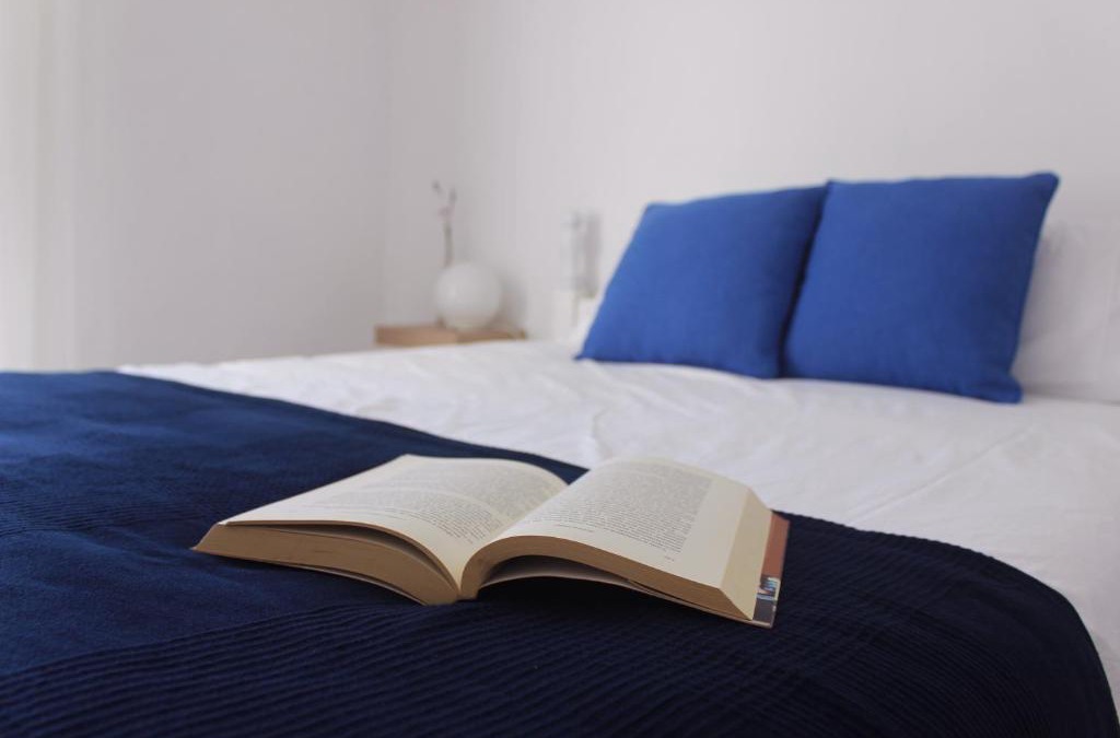 Vila de Rei House | Casas d'Almofala