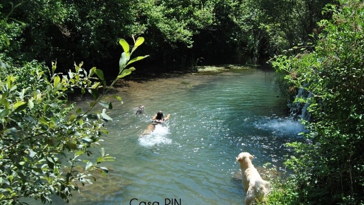 Reocin de los Molinos Cottage | Casas Pin for 12 people