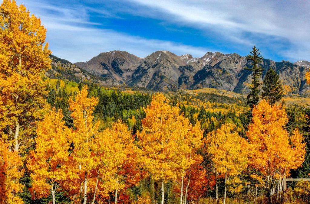 Purgatory Resort | Cascade Village 301, Durango CO