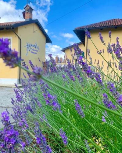 Gassino Torinese Hotel | CASCINA DOMINA