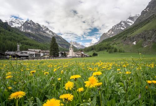 Bruil Apartment | Case Gran Paradiso Rhemes Notre Dame