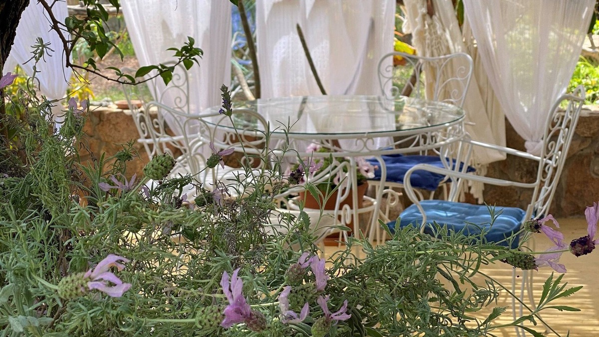 Tancau Sul Mare Apartment | Casetta Ale 20 mt from the sea