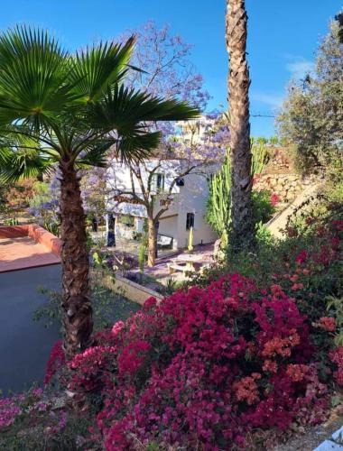 Benajarafe House | Casita 2