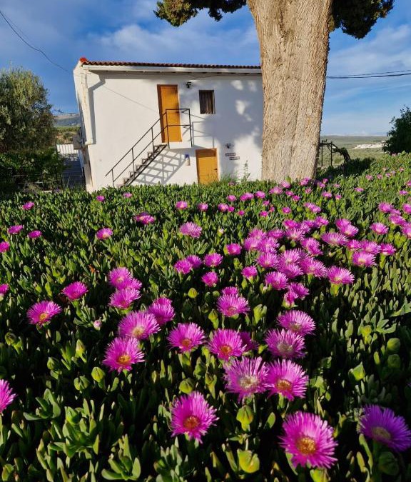 Illora Apartment | Casita of Casa Olivar