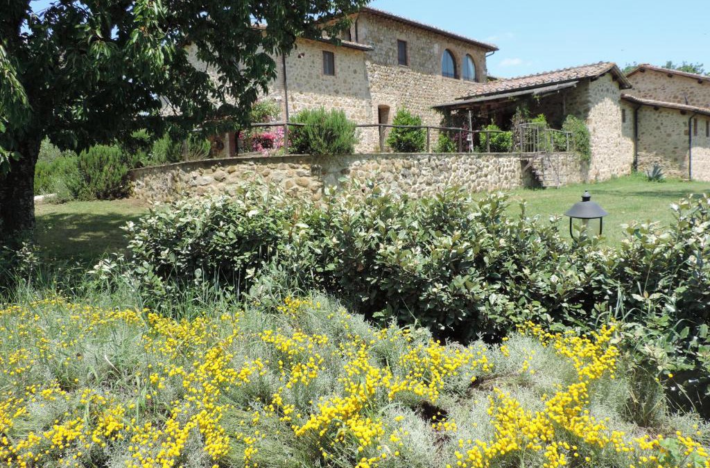 Chiusdino Villa | Castellare