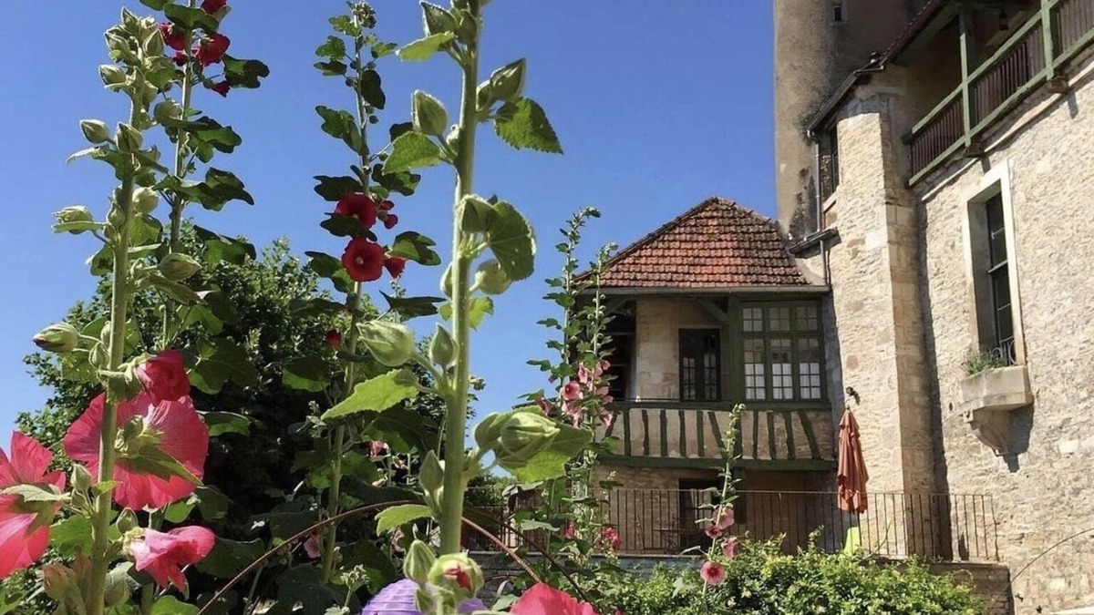 Noyers-sur-Serein House | Castle 31 persons