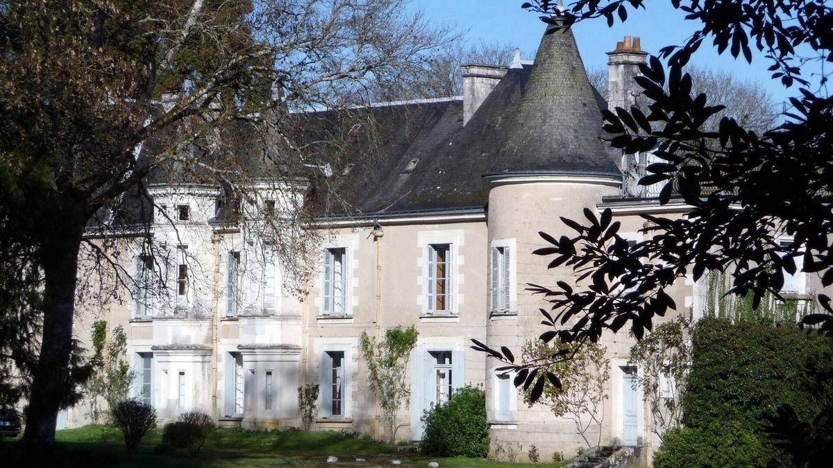 Genille Other | Castle close family Loire castles, 18 people, swimming pool/tennis