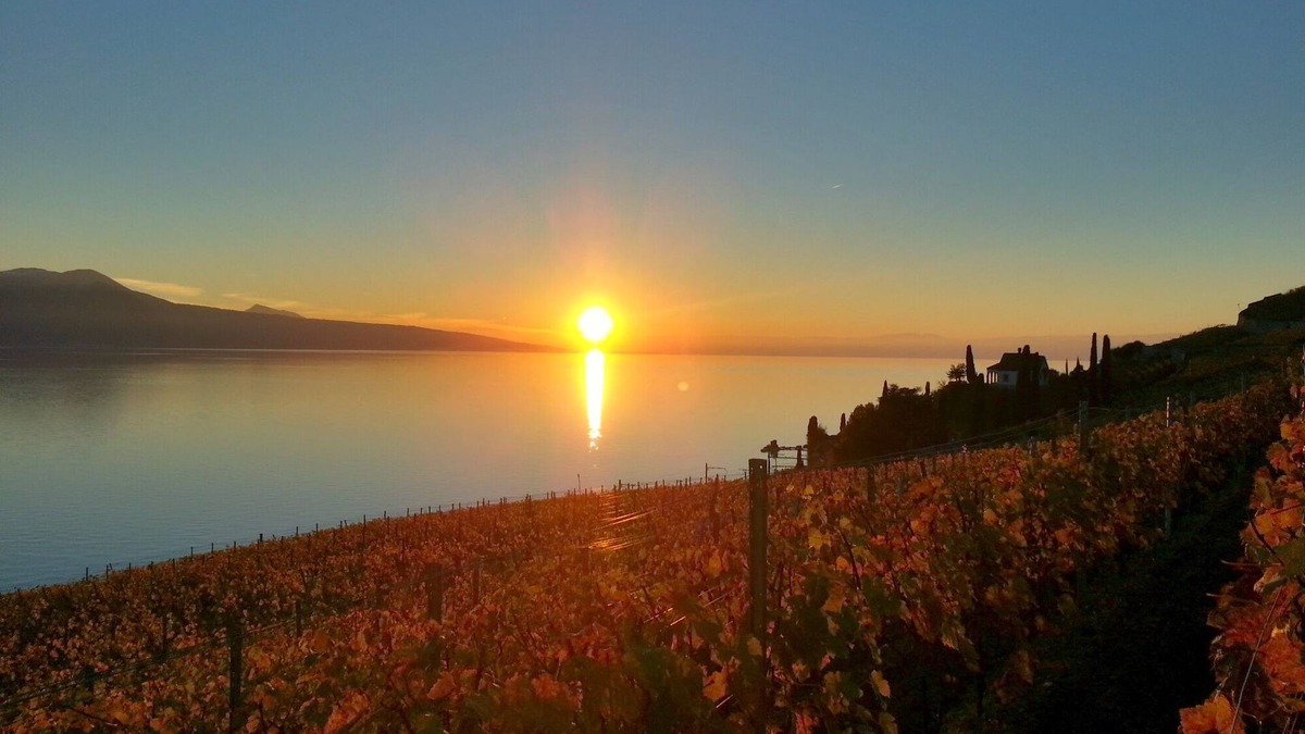 Chardonne Apartment | Castle In The Vineyards - flat for 2