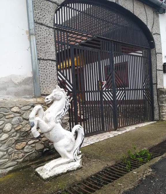 Saliste House | Castle of the rock