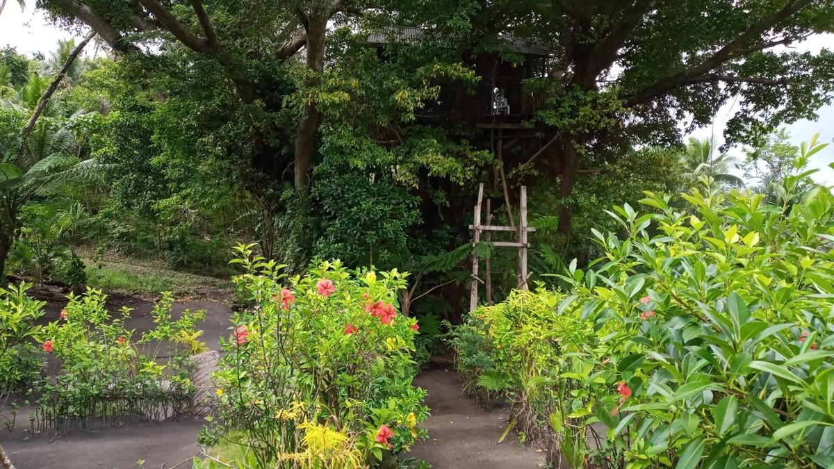 Lenakel House | Castle Tree House