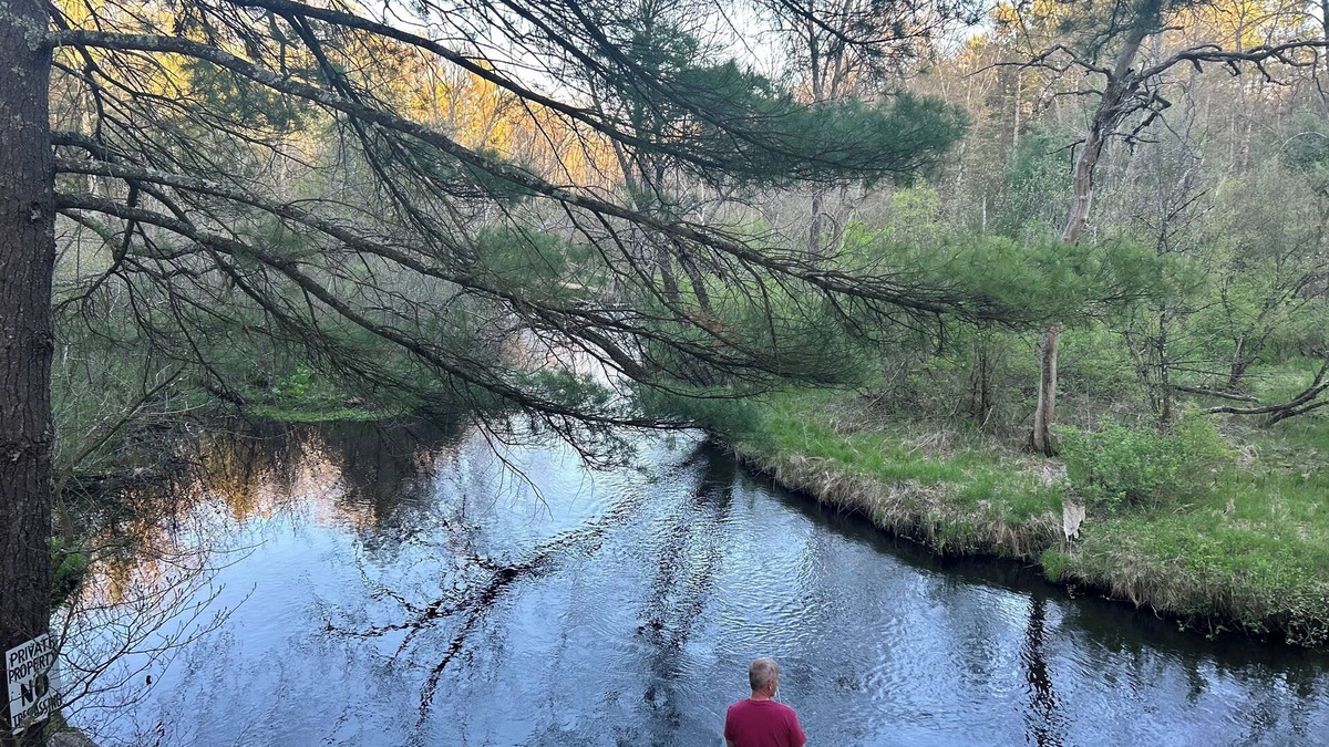 Baldwin House | Casual cozy Baldwin River 3 Bedroom Cabin. Fish on site, ATV, Canoe nearby.