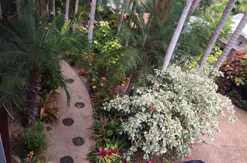Taranganba Apartment | Casuarina