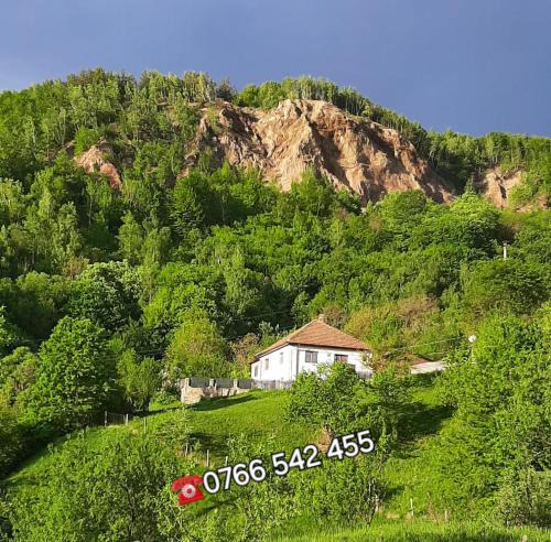 Lopatari House | Casuta de sub munte