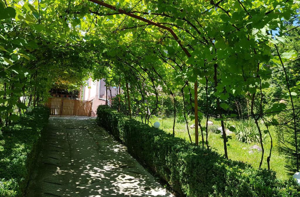 Vladesti House | Casuta dintre dealuri