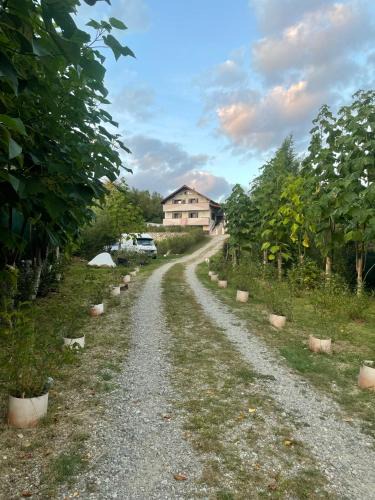 Pausesti-Maglasi House | CASUTA MAGICA