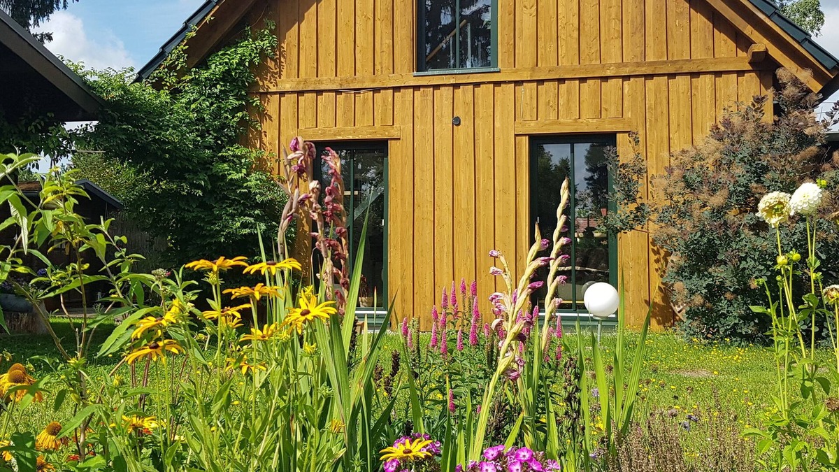 Grube House | Cat lovers welcome! Cosy & modern lake-side house close to Potsdam with Sauna