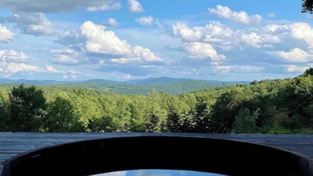 Delhi Apartment | Catskill Barn Apt on 34 acres.stunning views