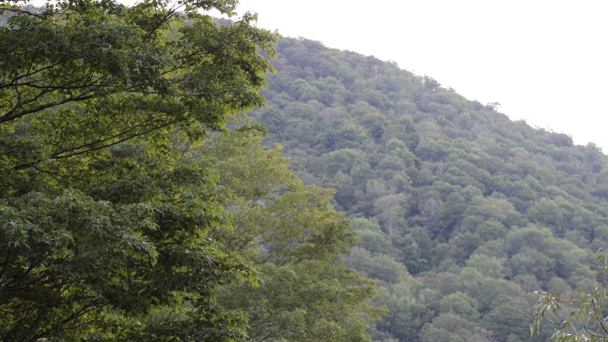 Shandaken Hotel | Catskill Seasons Inn