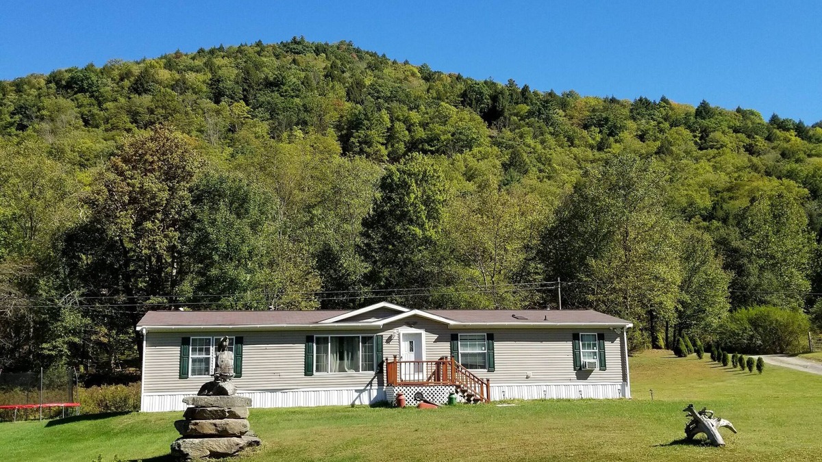 East Branch House | Catskills Modern Comfort Home Mountainous Backdrop