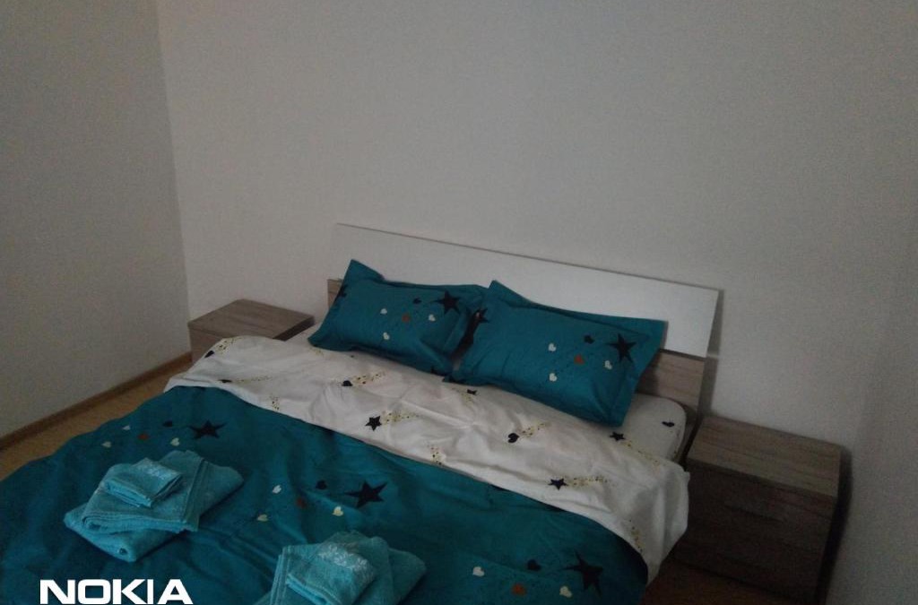 Emanoil Gojdu Apartment | Cazare