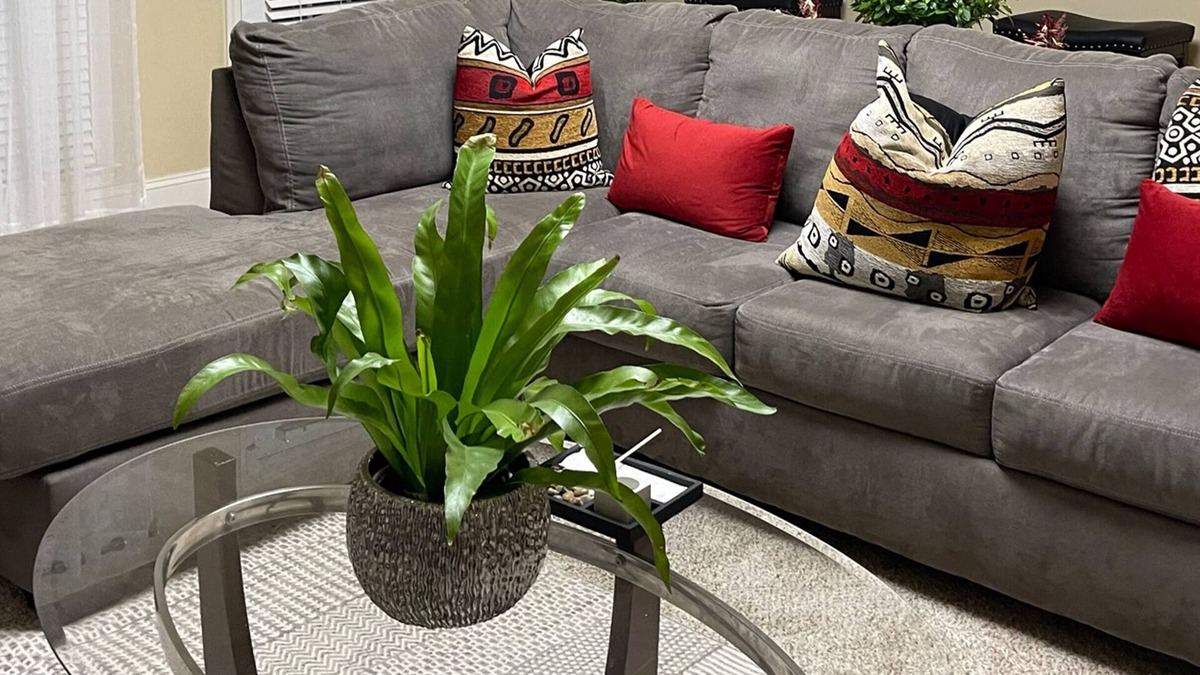 Jamestown House | Cazenitah: The Ideal Getaway, Corporate 3BR in Prime Location and Neighborhood