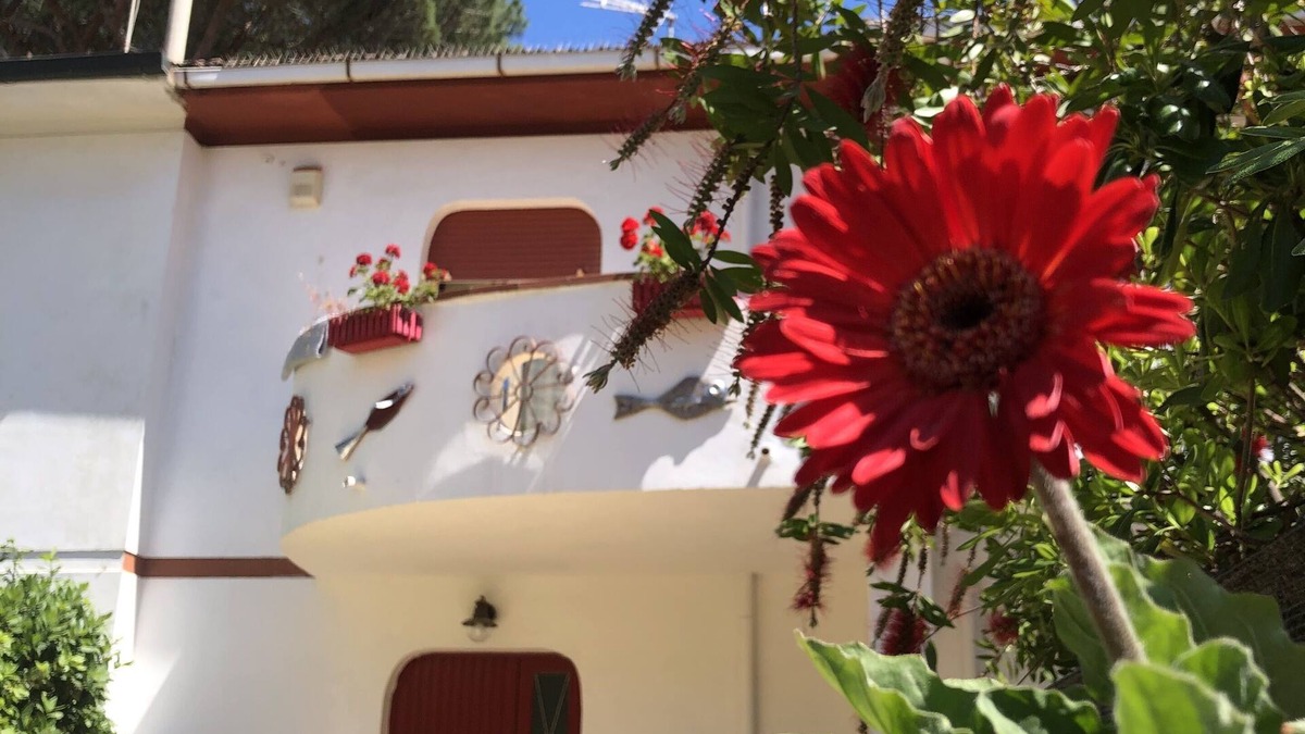 Marina di Cecina House | CECINA MARE, HOUSE WITH GARDEN, 150 mt. FROM THE SEA -DOGS ARE WELCOME!