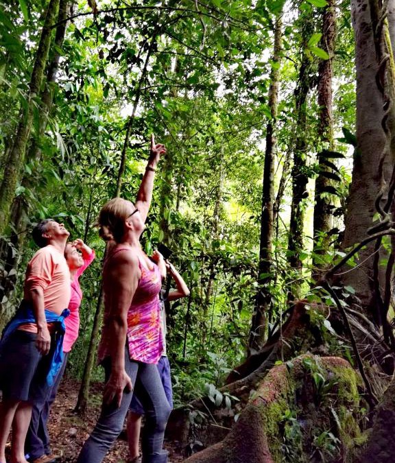Vieja Cabin | Cecropia Ecolodge