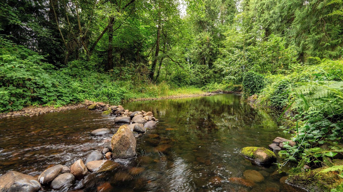 Sandy Cabin | Cedar Creek Cabin Mt Hood Access Peaceful