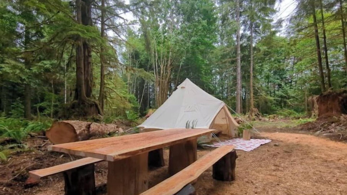 Lake Cowichan RV Rental | Cedar Palace