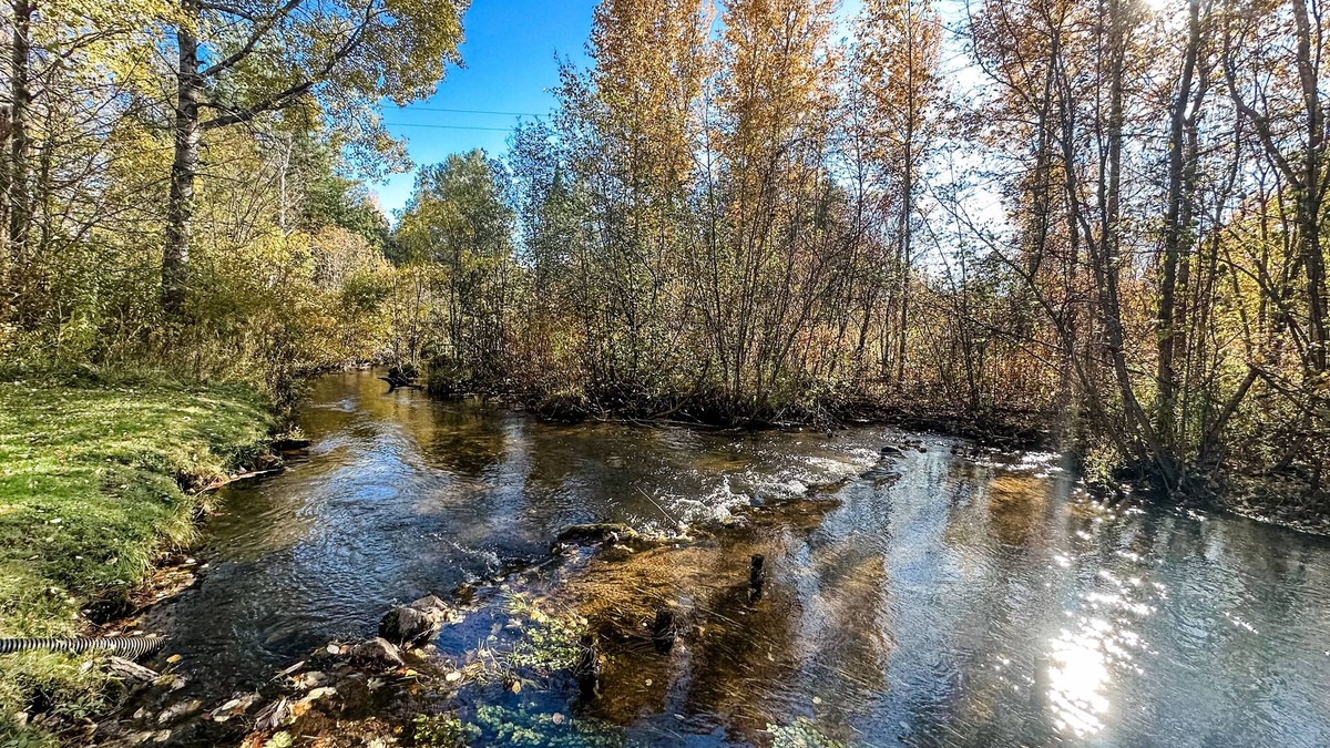 Harrison House | Cedar River Home-Pet Friendly!