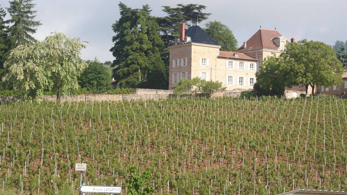 Prisse House | Cèdre-Monceau, in the heart of the vineyards, family stays, seminars, events.