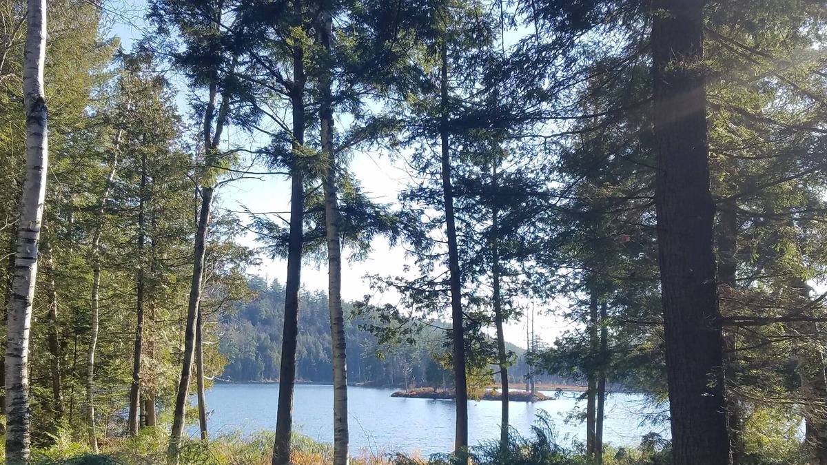 Moriah Center House | Central Adirondack Lakefront Solar Cabin
