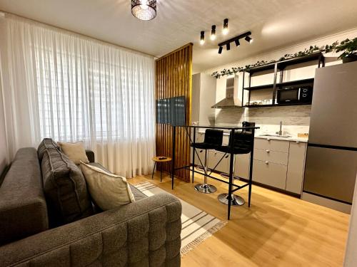 Tirgu Neamt Apartment | Central Charm Apartment