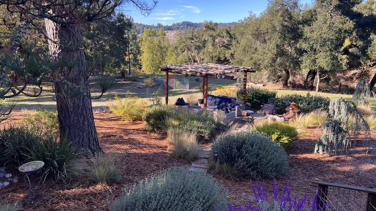 Ben Lomond House | Central Coast , Meadow, Great Roads, Wildlife, Hot-Tub, Polite Pets Welcome