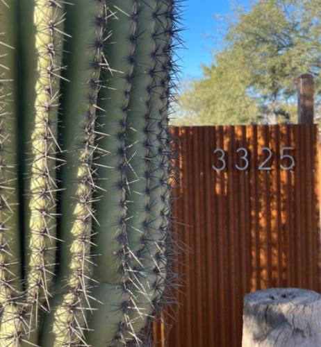 Palo Verde House | Central House with Pool & Hot Tub
