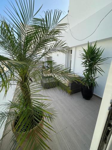 Racine Apartment | Central, terrasse, confortable - Bleue résidence