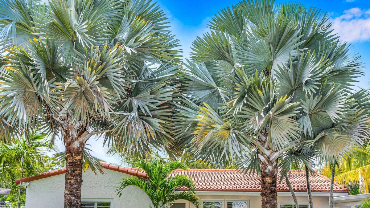 South New River Isles House | Centrally located | Heated Pool | Riverside View & Access | Citrus Key | H0MES