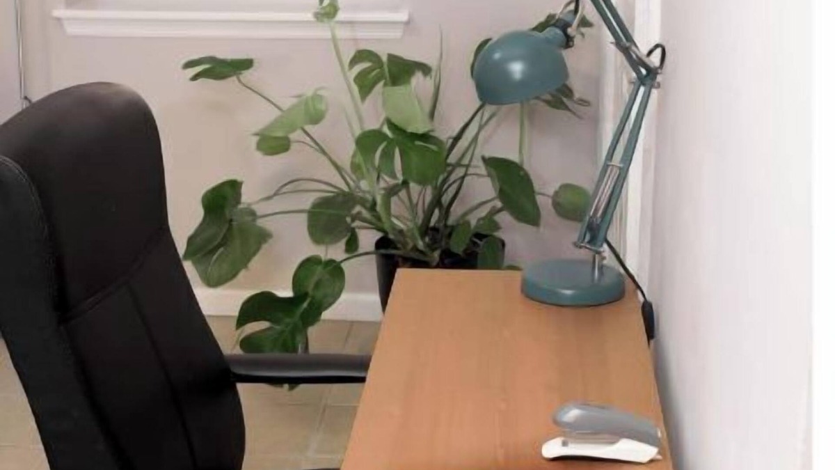 Forest Hill Apartment | Centrally located apt. ideal for business & pleasure.
