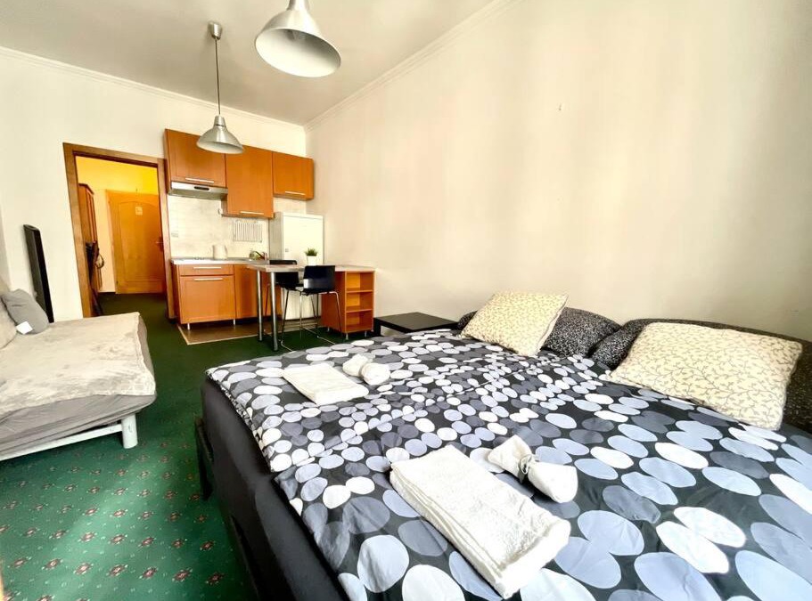 Vysehrad Apartment | Centrum Bohemia Studio
