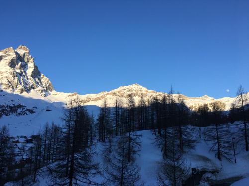 Cervinia Apartment | Cervinia On the slopes - I Dadi 603 B