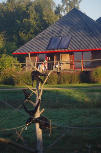 Hermival-les-Vaux Other | Cerza Safari Lodge