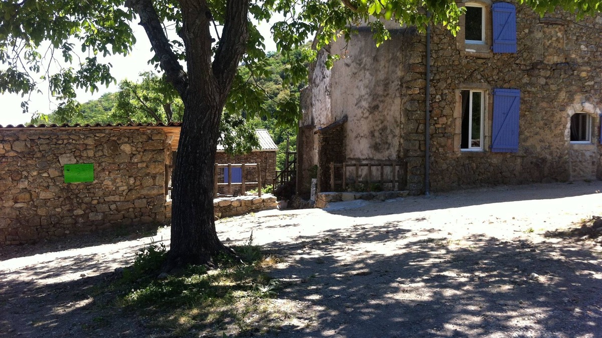Lasalle Other | Cévenol cottage in the countryside close to Anduze, and the bamboo plantation