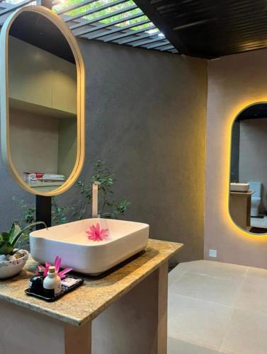 Kataragama Bed & Breakfast | Ceylan trees