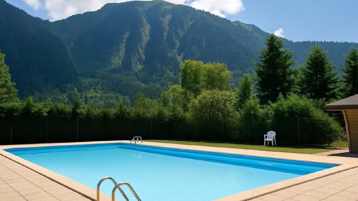 Thollon-les-Memises Ski Chalet | Châlet Thollon-Les-Mémises