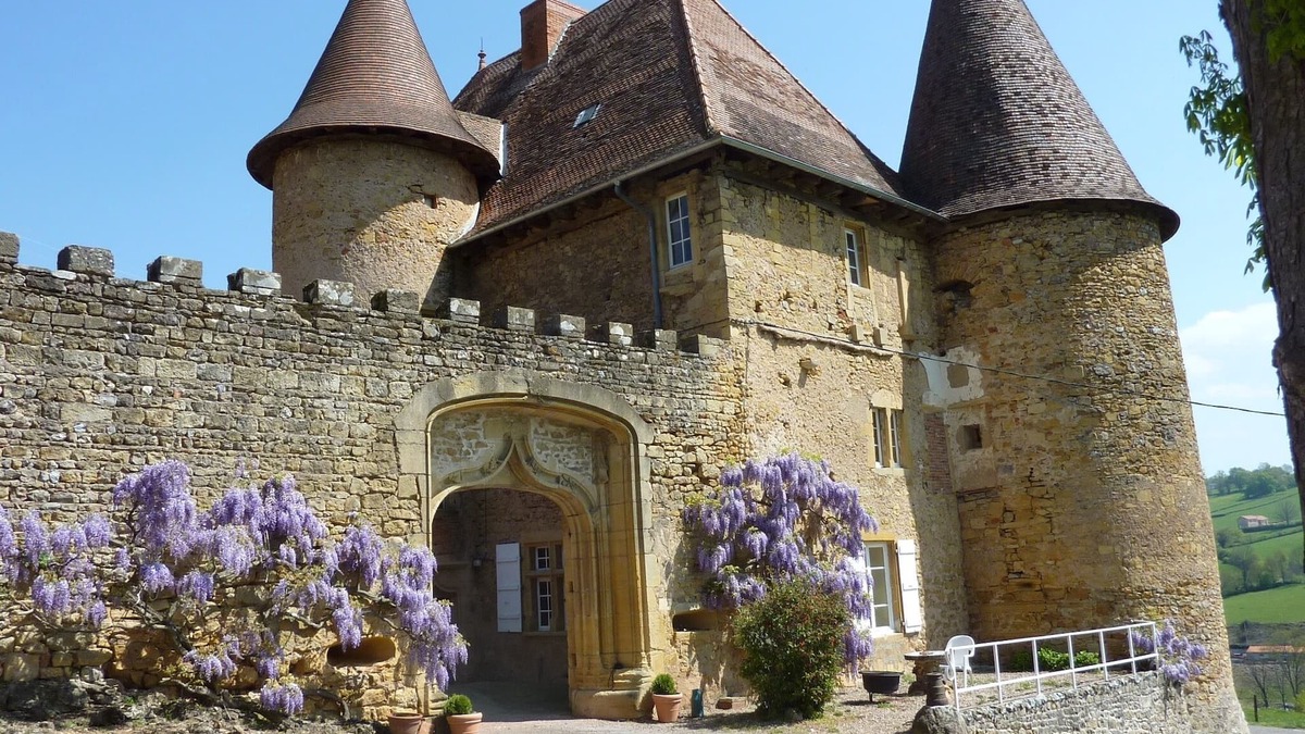 Saint-Martin-de-Lixy Other | Château de Barnay 11th century - South Burgundy/charm-comfort-authenticity