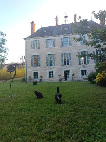 Olivet Bed & Breakfast | Château de la Mothe