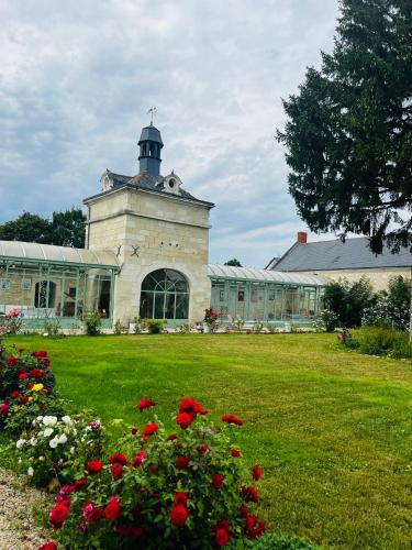 Allonnes Bed & Breakfast | Château de la Thibaudière - Chambre des oiseaux
